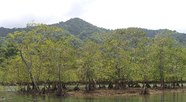 Utría National Natural Park